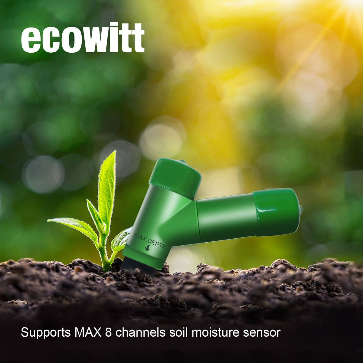Green Ecowitt WH51 soil moisture sensor inserted beside a seedling, with text noting support for up to eight sensor channels