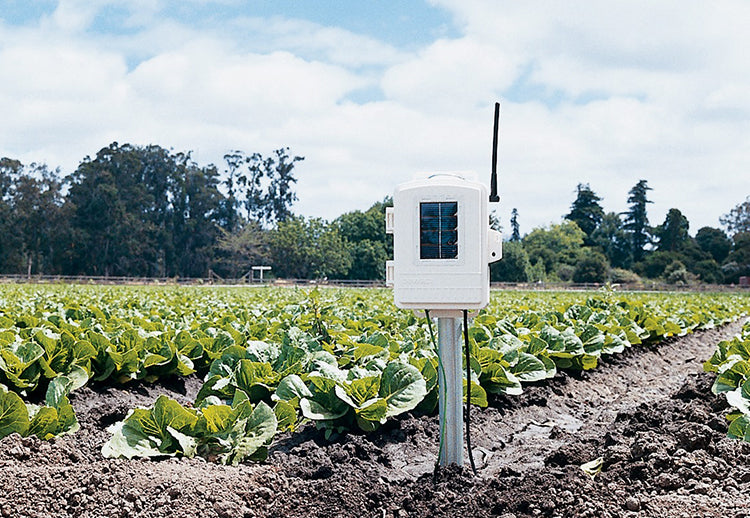 Davis Leaf & Soil Moisture/Temp Station 6345NZ