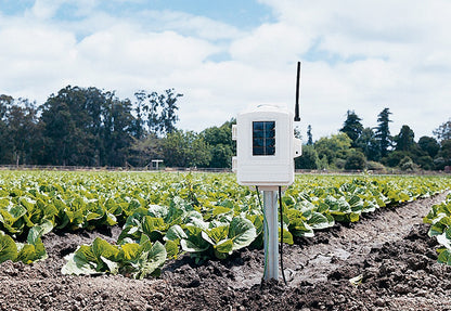 Davis Leaf & Soil Moisture/Temp Station 6345NZ